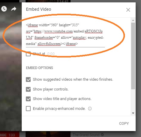 Videon iframe