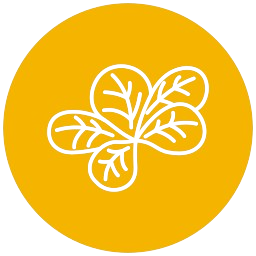 Direct Delivery Icon