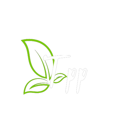 Try out best products!