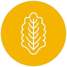 Learn More Icon